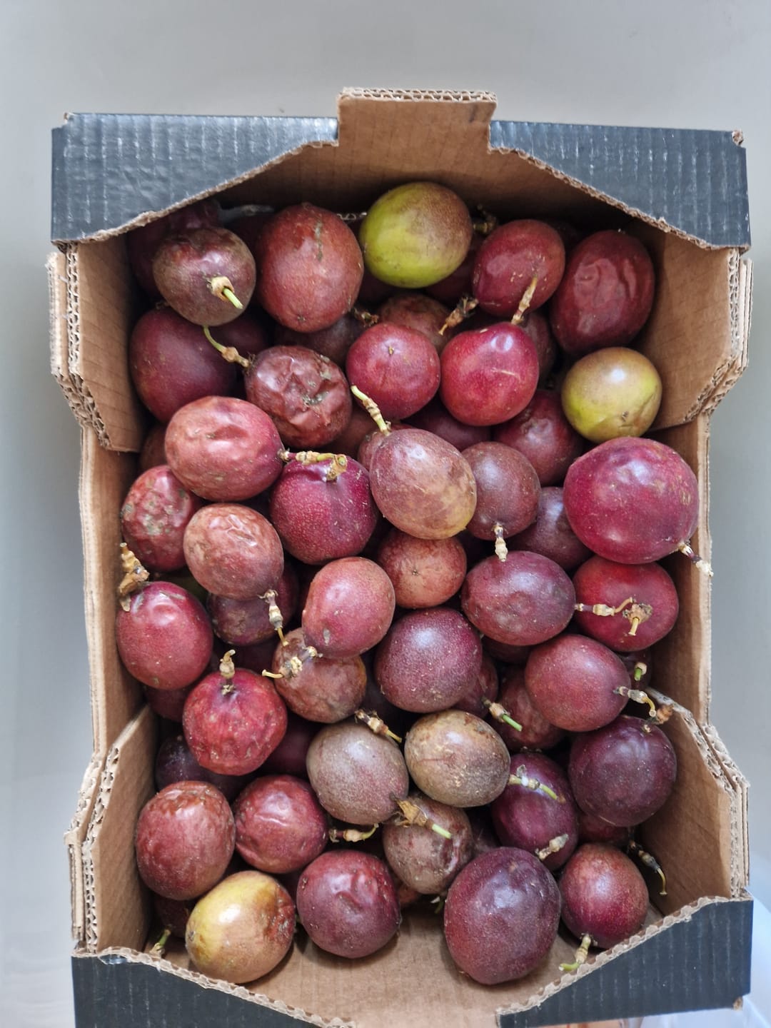 Customer photo review of Passionsfrüchte Bio von Salvador Retteraktion %