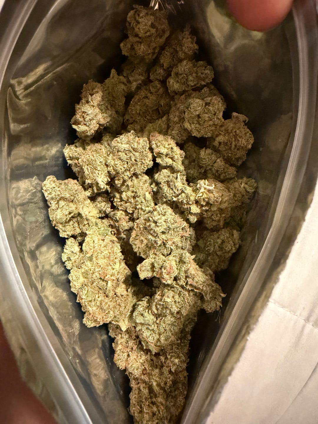 Customer photo review of Jack Herer | THCA Flower