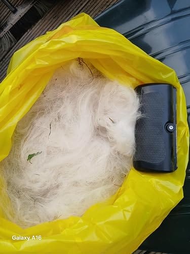 Customer photo review of FurLift Pro™ Deshedding Brush for Dogs & Cats