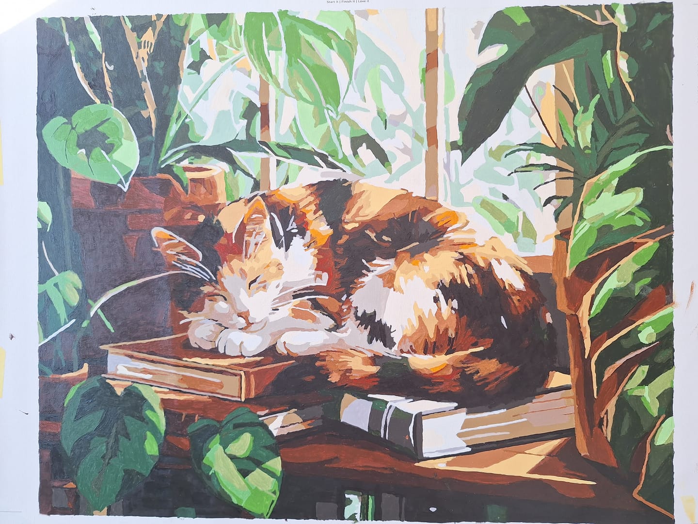 Customer photo review of Sleeping Cat at the Window | Paint by Number