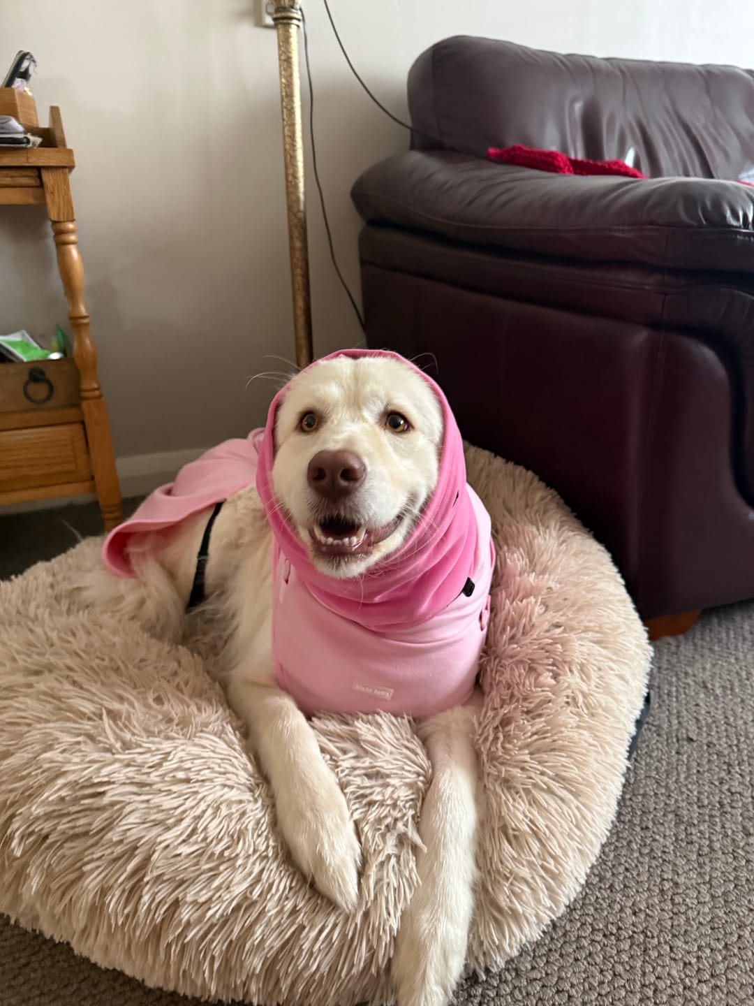 Customer photo review of Anxiety Calming Suit - Pink