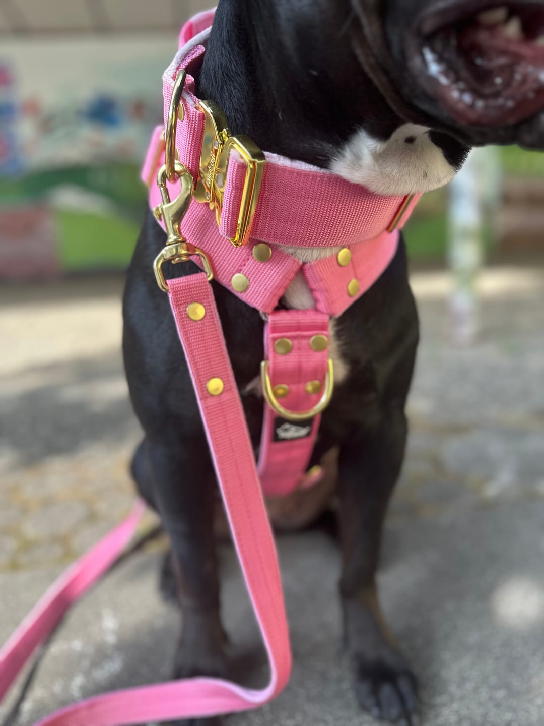 Customer photo review of Extreme Buckle med namn