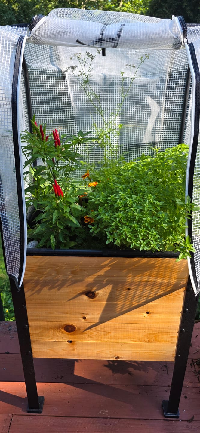 Customer photo review of Greenhouse Cover