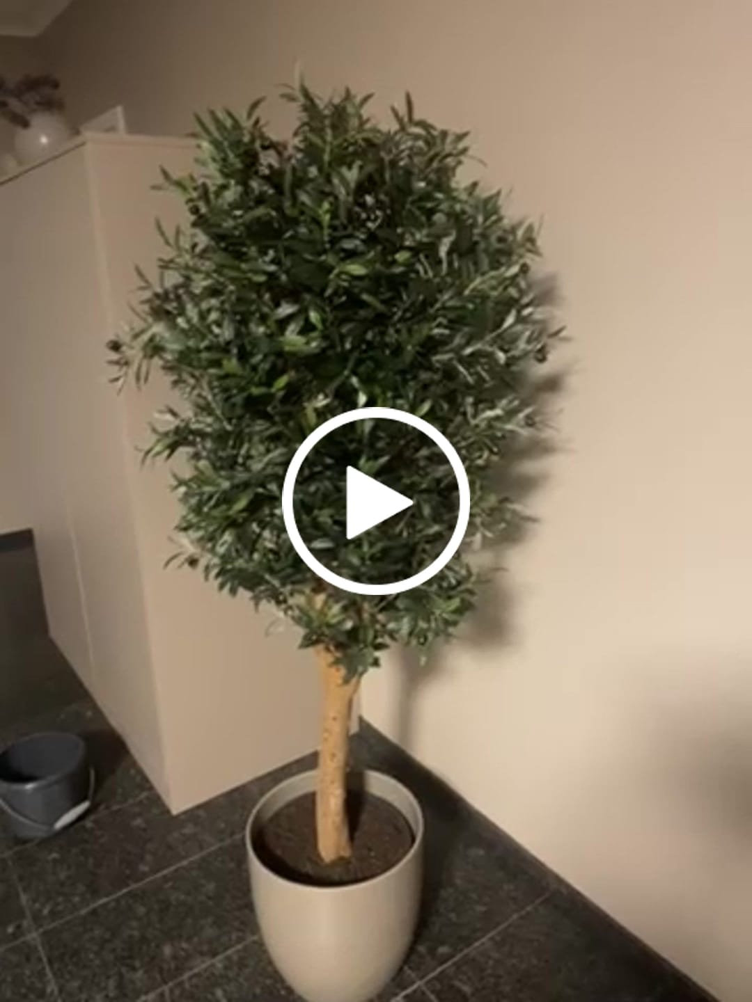 Customer video review of Künstlicher Olivenbaum 160cm Deluxe