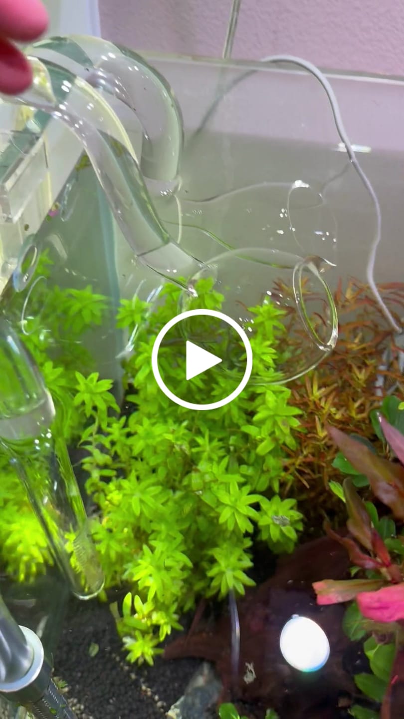 Customer video review of Lake Slow-Flow Outlet