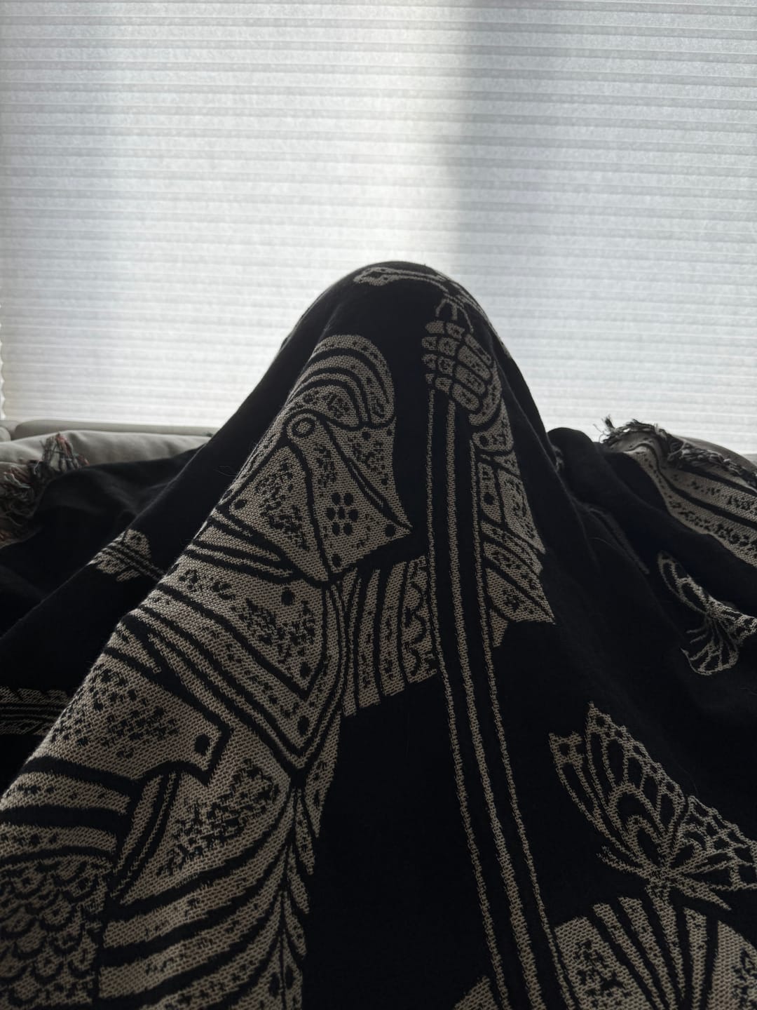 Customer photo review of Kneeling Knight Woven Blanket *Preorder