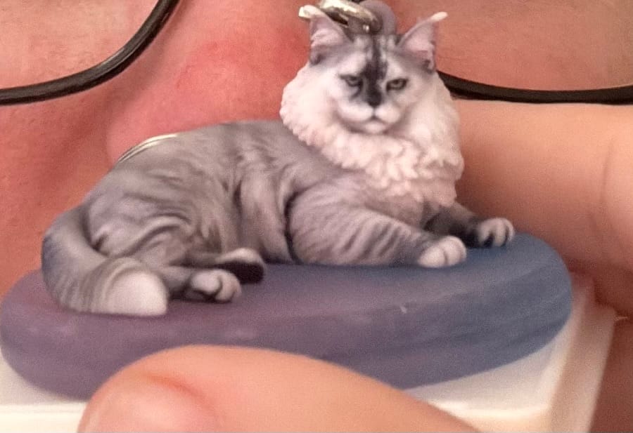 Customer photo review of Personalized Pet 3D Figure Keychain from Photo
