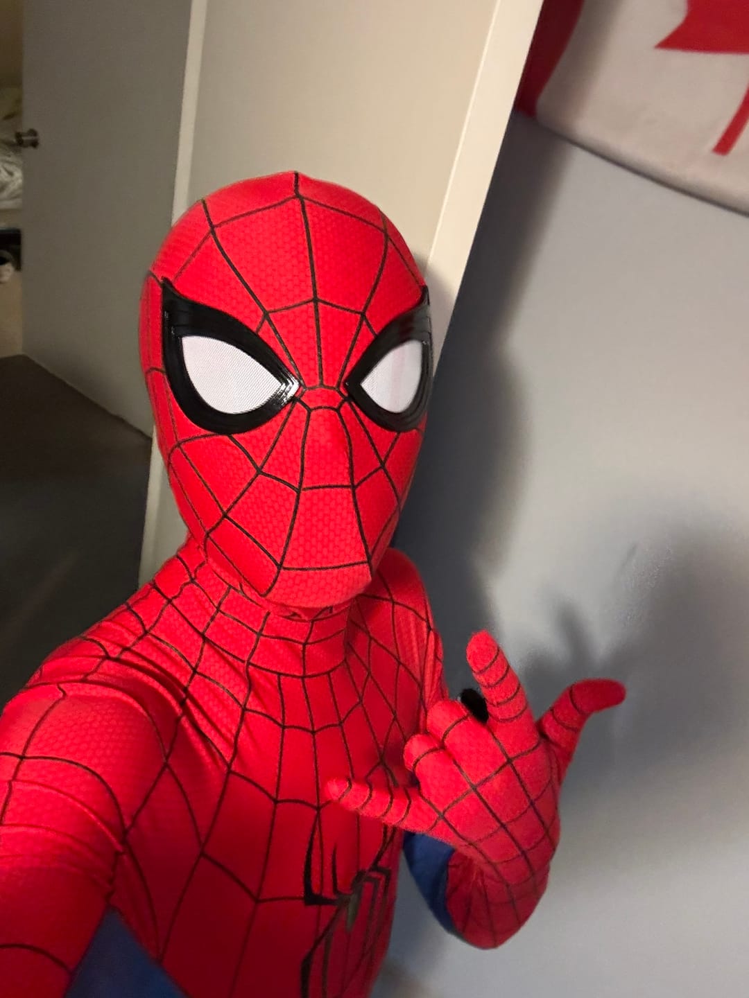 Customer photo review of Spider-Man: Brand New Day (2026) Costume (ScreenPrint) (Cosplay Grade)