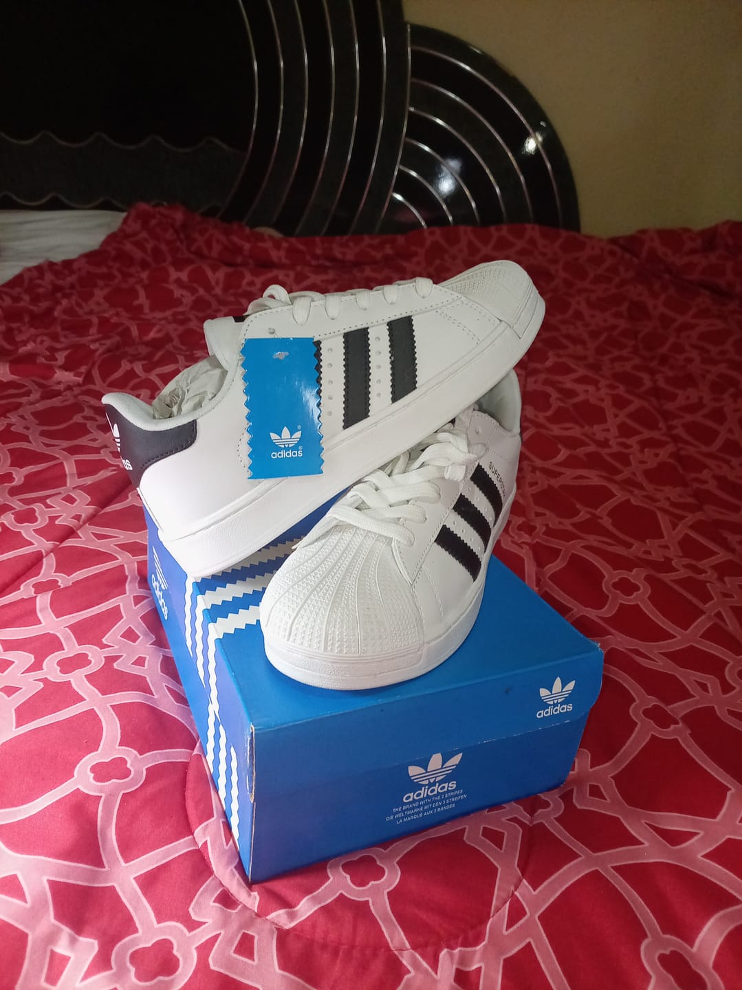 Customer photo review of Paq 6 Pares Tenis Concha Blanco Negro 22/25.5