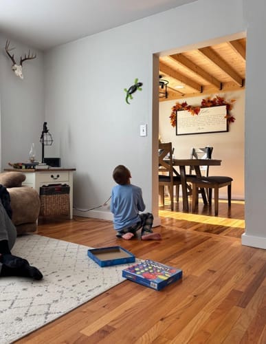 Customer photo review of GeckoCrawler™ – Wall, Ceiling & Floor RC Lizard