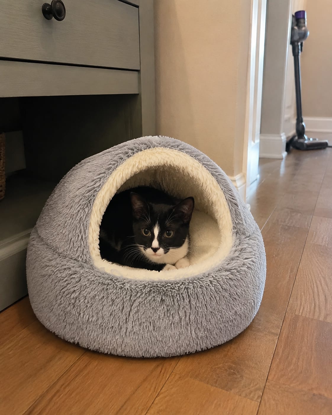 Customer photo review of Snuggle Haven Cozy Cave Pet Bed