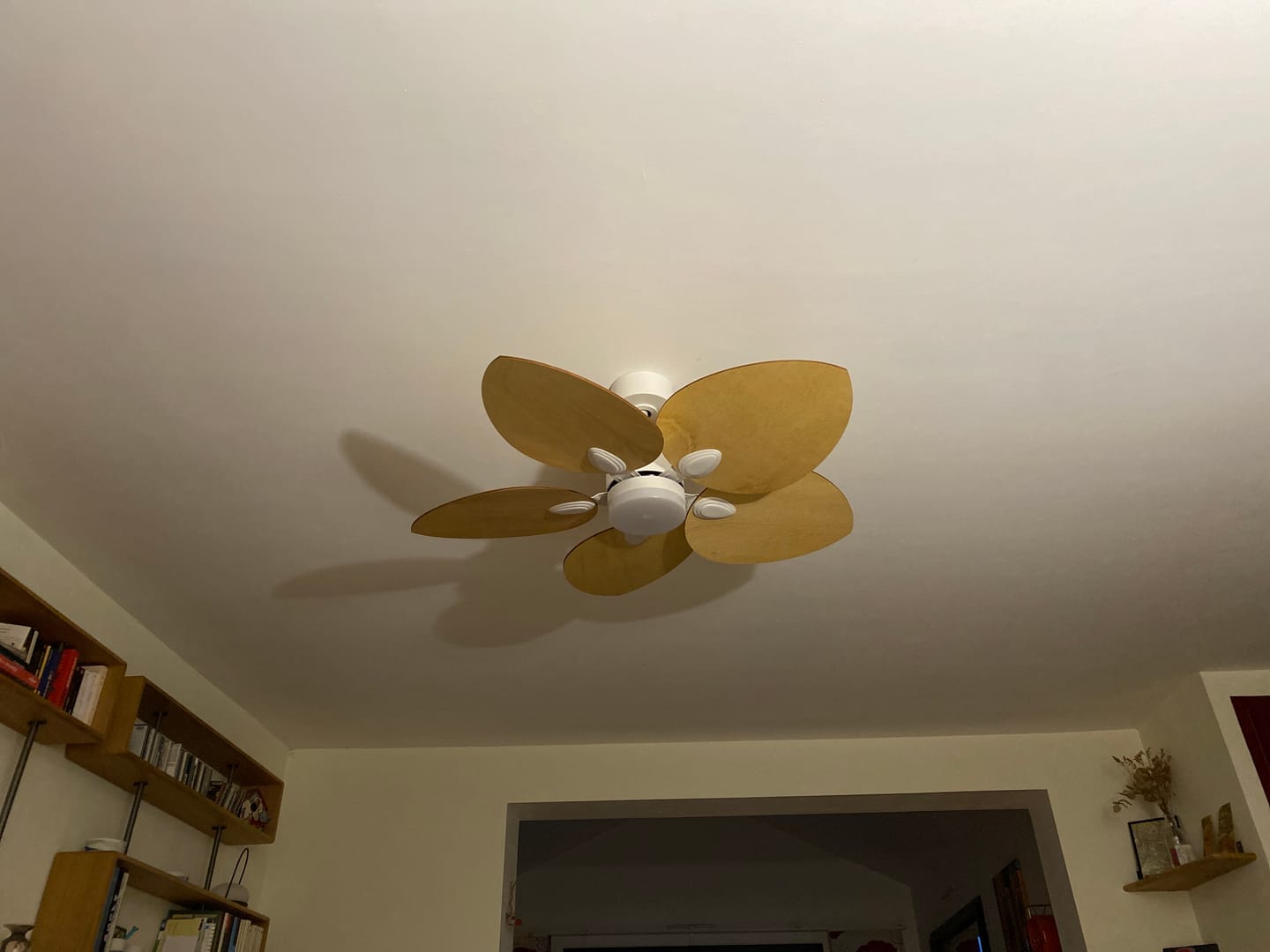 Customer photo review of Dahlia teinté Chêne | Ventilateur de plafond