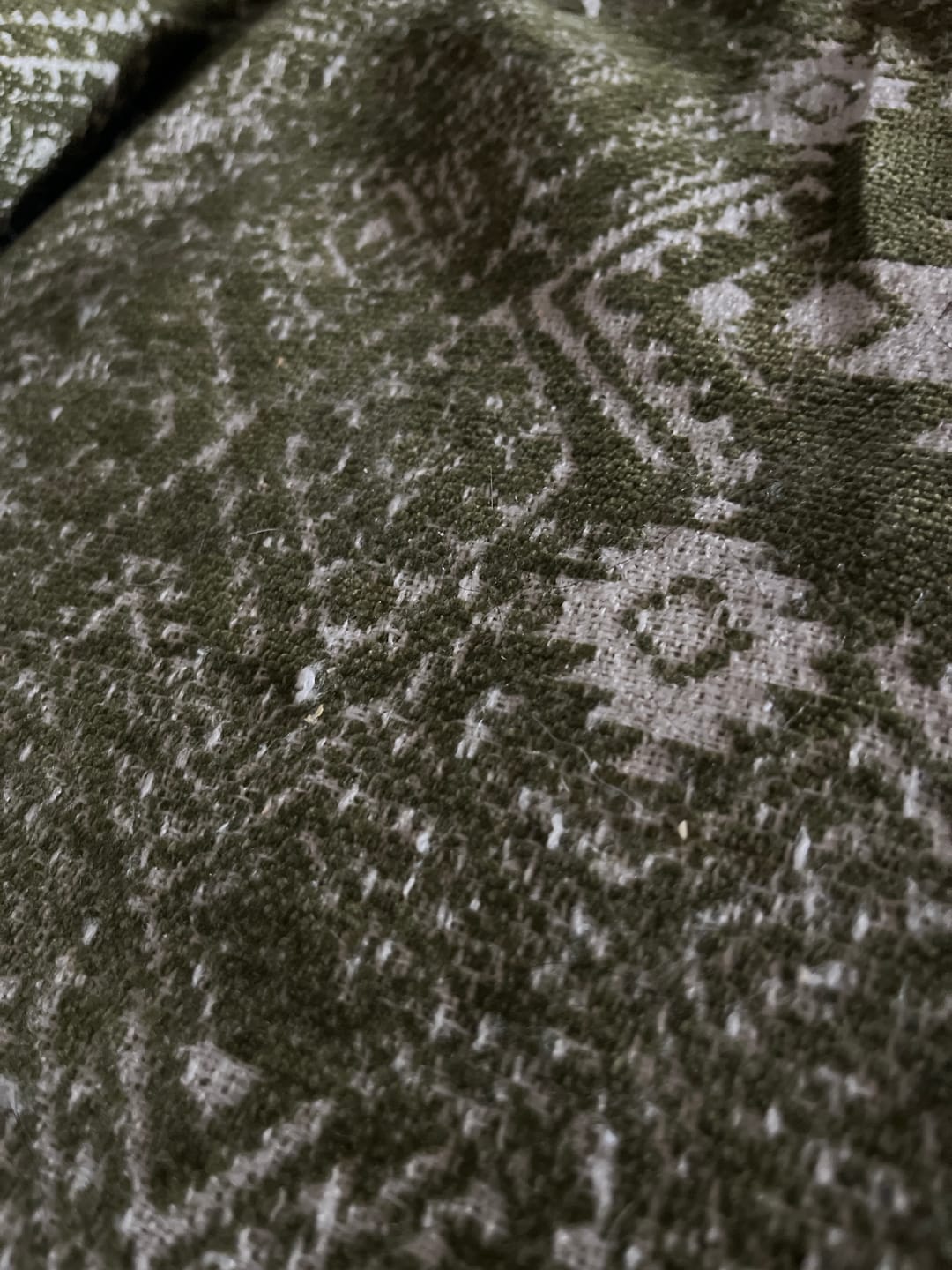 Customer photo review of Pet Couch Cover - Rustic Bohemian Green