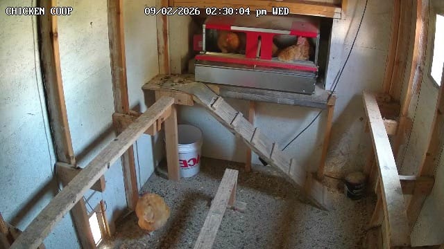 Customer photo review of Medium (34") Reversible Roll-out Nest Box (Up to 32 Hens)