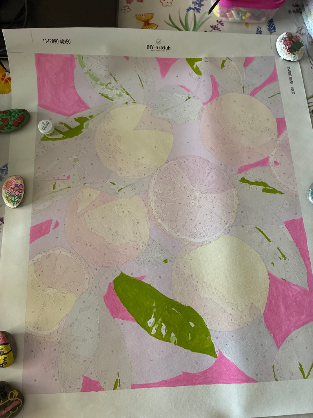 Customer photo review of Colorful Citrus Fruits| Paint by Number