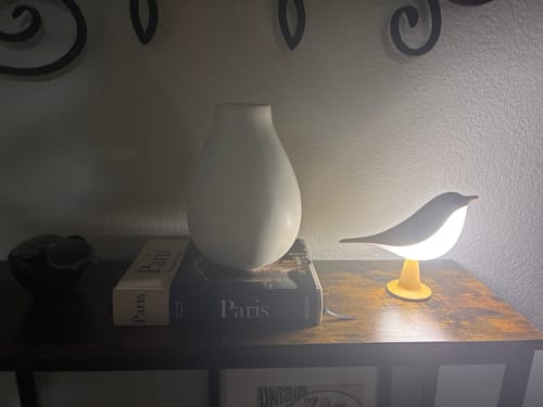 Customer's Glow Bird lamp glowing warmly on a rustic side table next to books and a vase.