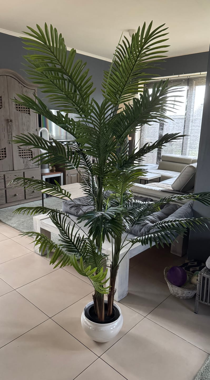 Customer photo review of Kunstpalm 180cm