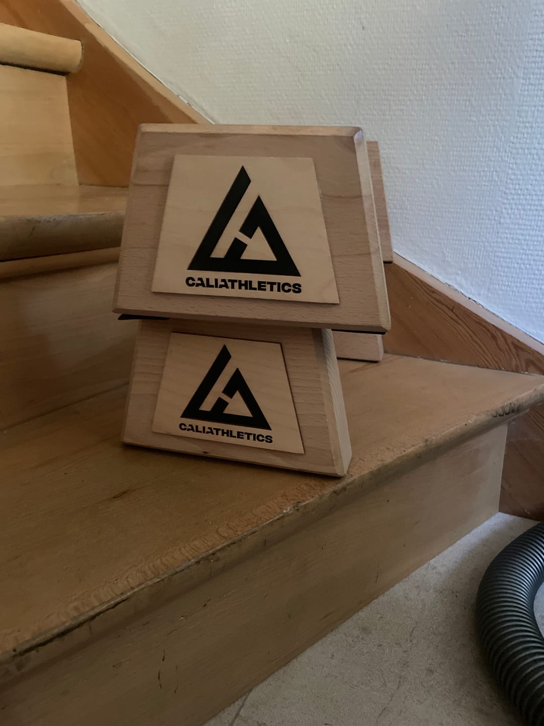 Customer photo review of Wooden Parallettes MEDIUM