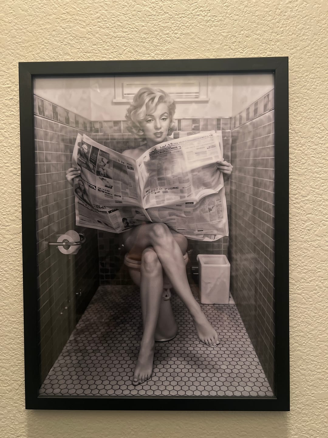 Customer photo review of Marilyn Monroe Reading Newspaper On The Toilet
