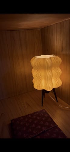 Customer photo review of LAZY LAMP