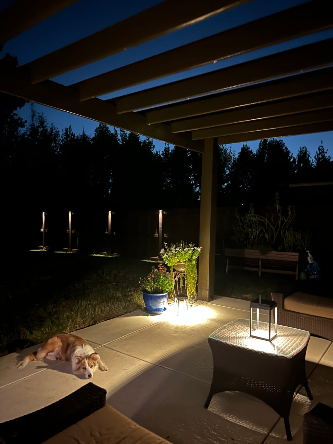 Customer photo review of Luxury Metal Solar Lantern