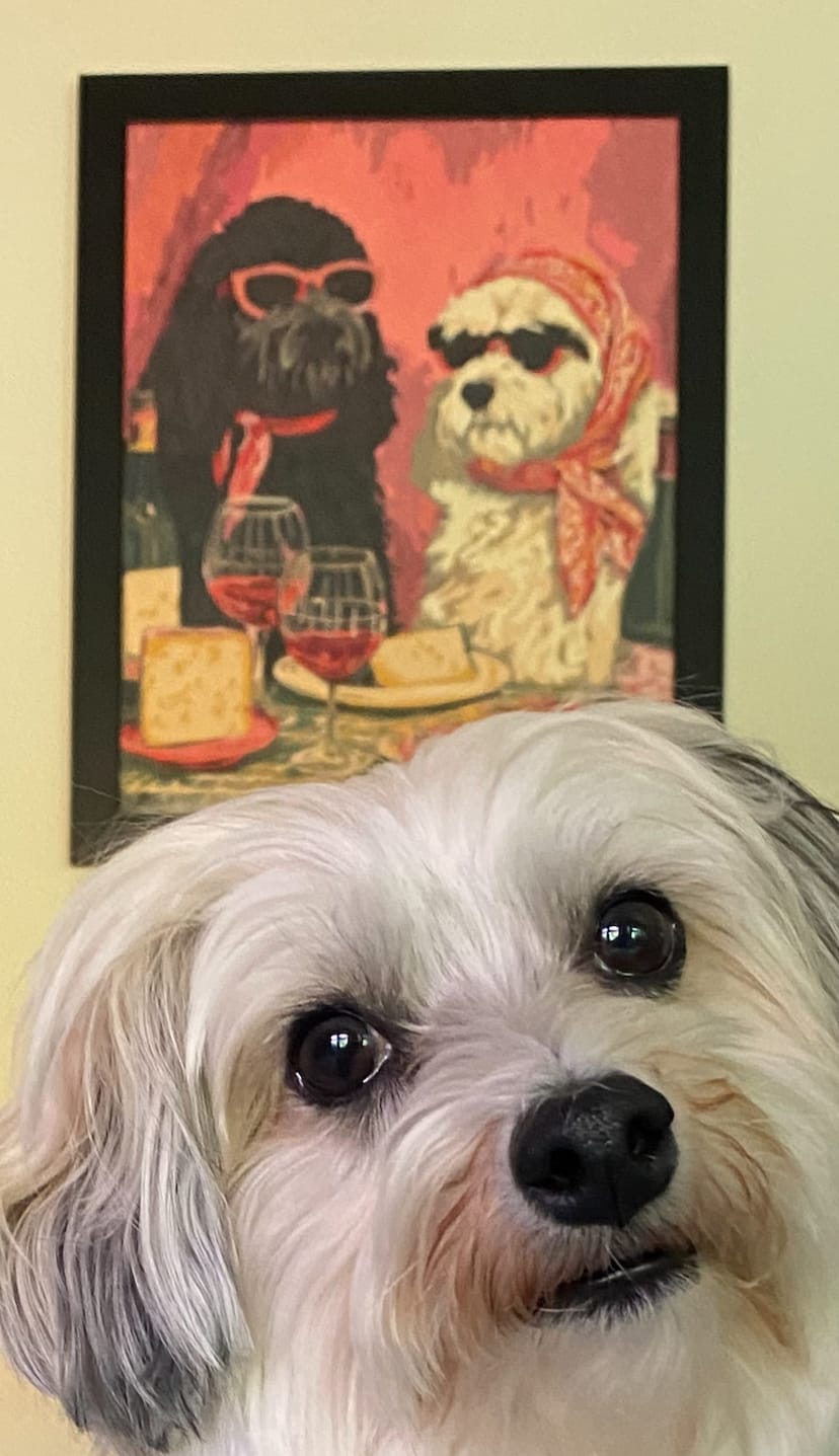 Customer photo review of Fancy dogs | Paint by Number