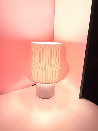 Customer photo review of LUCID LAMP