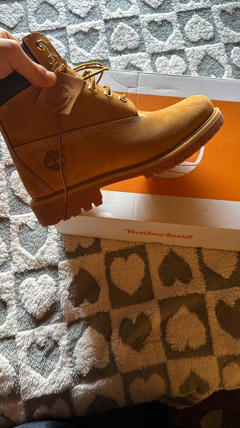 Customer photo review of Botas Timberland Premium 6 Inch Waterproof Beige