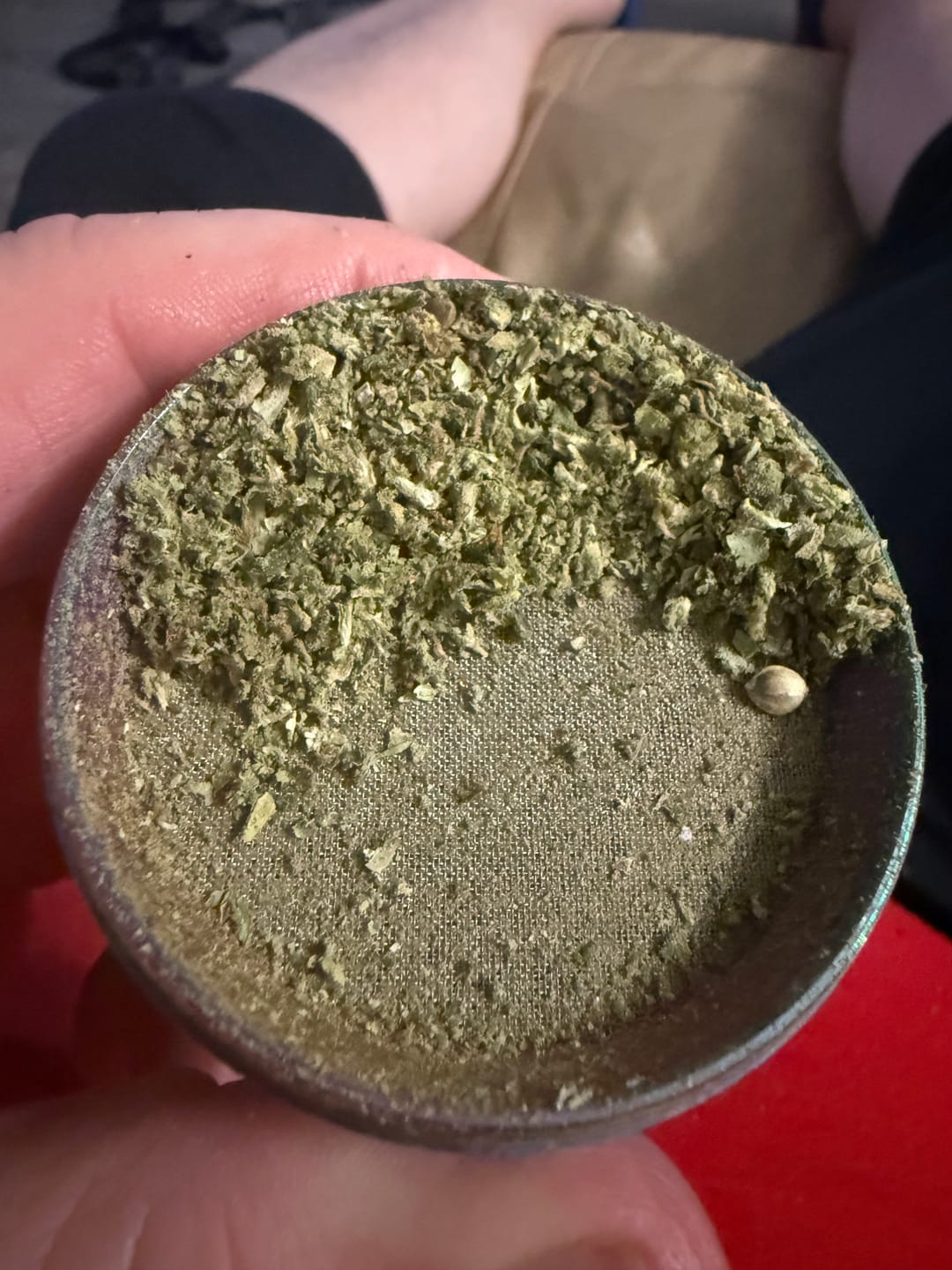 Customer photo review of 1 Oz Cheap THCA Small Buds