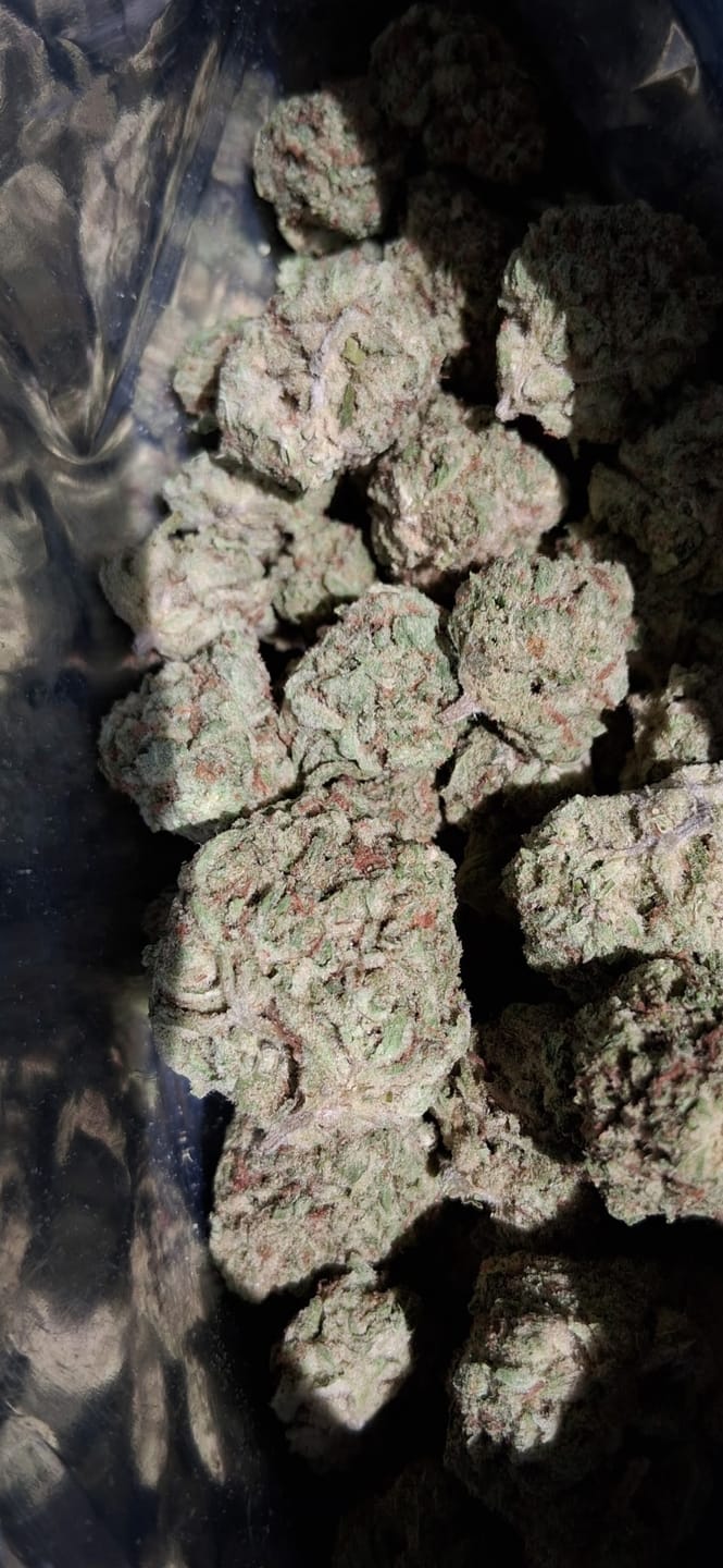 Customer photo review of Strawberry Cough THCA Flower