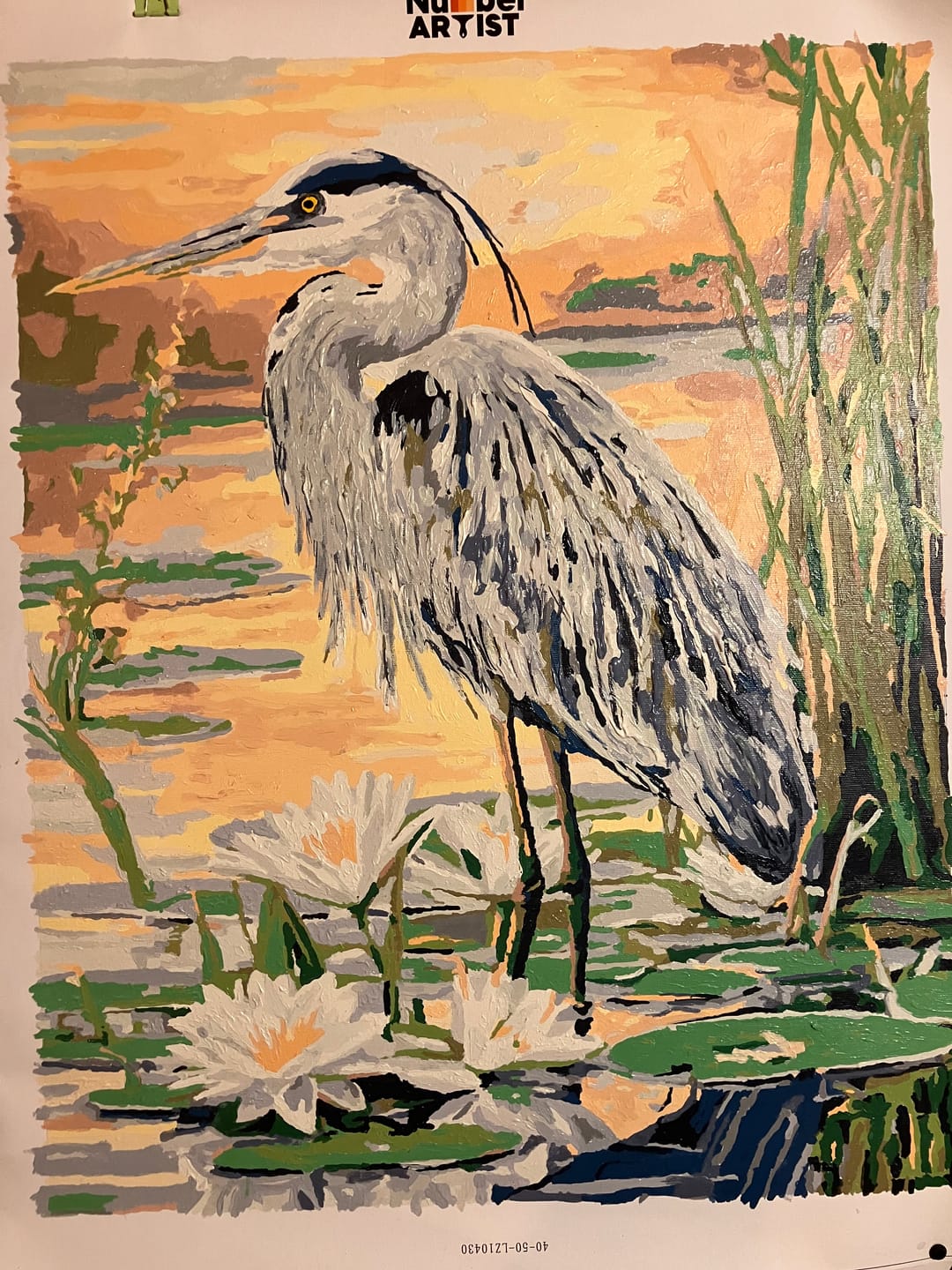 Customer photo review of Great Blue Heron