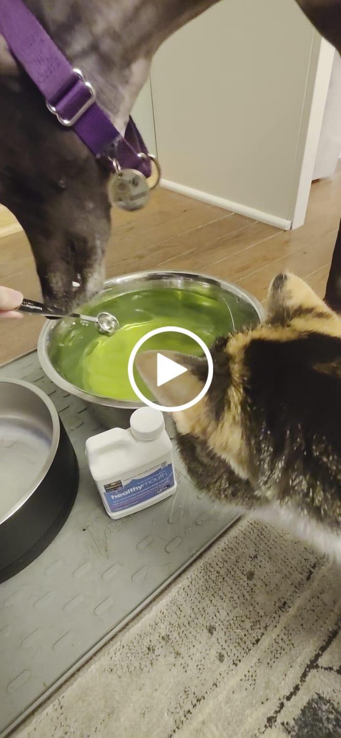 Customer video review of HealthyMouth® Water Additive For Dogs (Clinically Proven, VOHC Accepted)