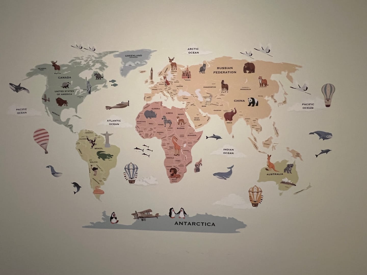 Customer photo review of World Map with Capitals Wall Decal