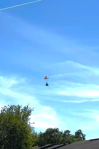 Customer photo review of SkySpinner™ – Parachute Rocket Launcher