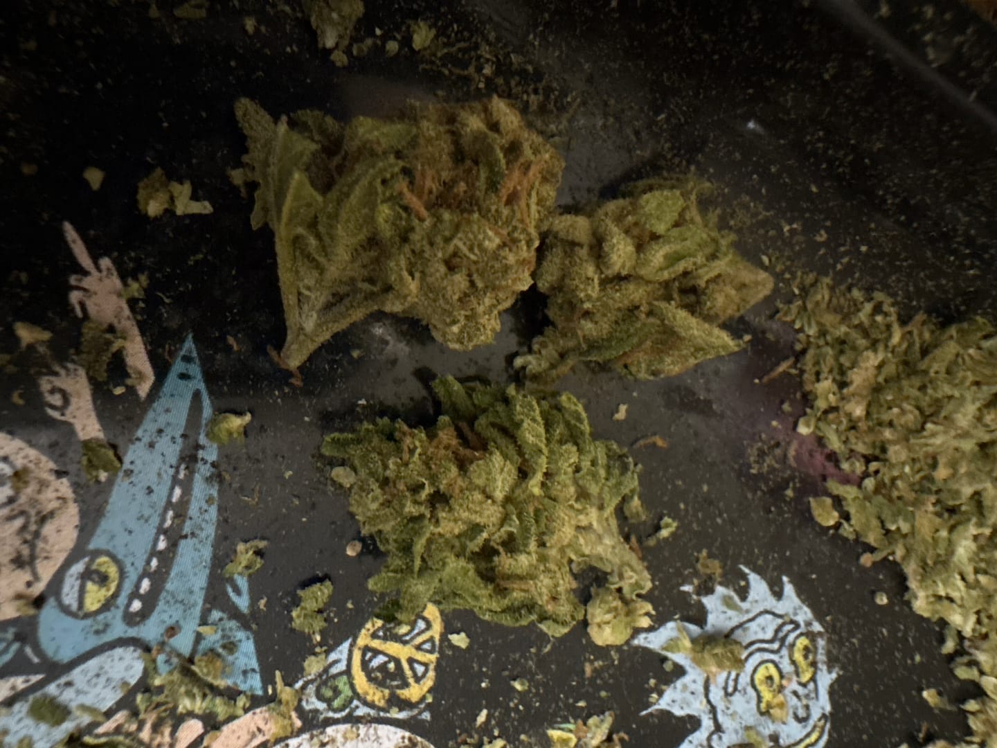 Customer photo review of Raspberry Kush - Minis - 28 Grams - Indica