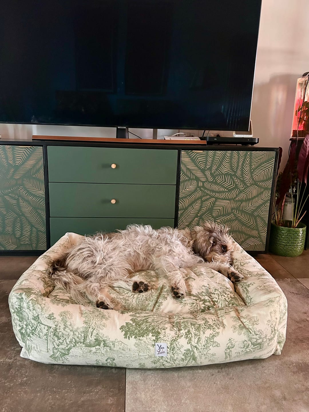 Customer photo review of Cucce per Cani Toile de Jouy | Divanetti Eleganti e Sfoderabili Made in Italy | Leo e Luna
