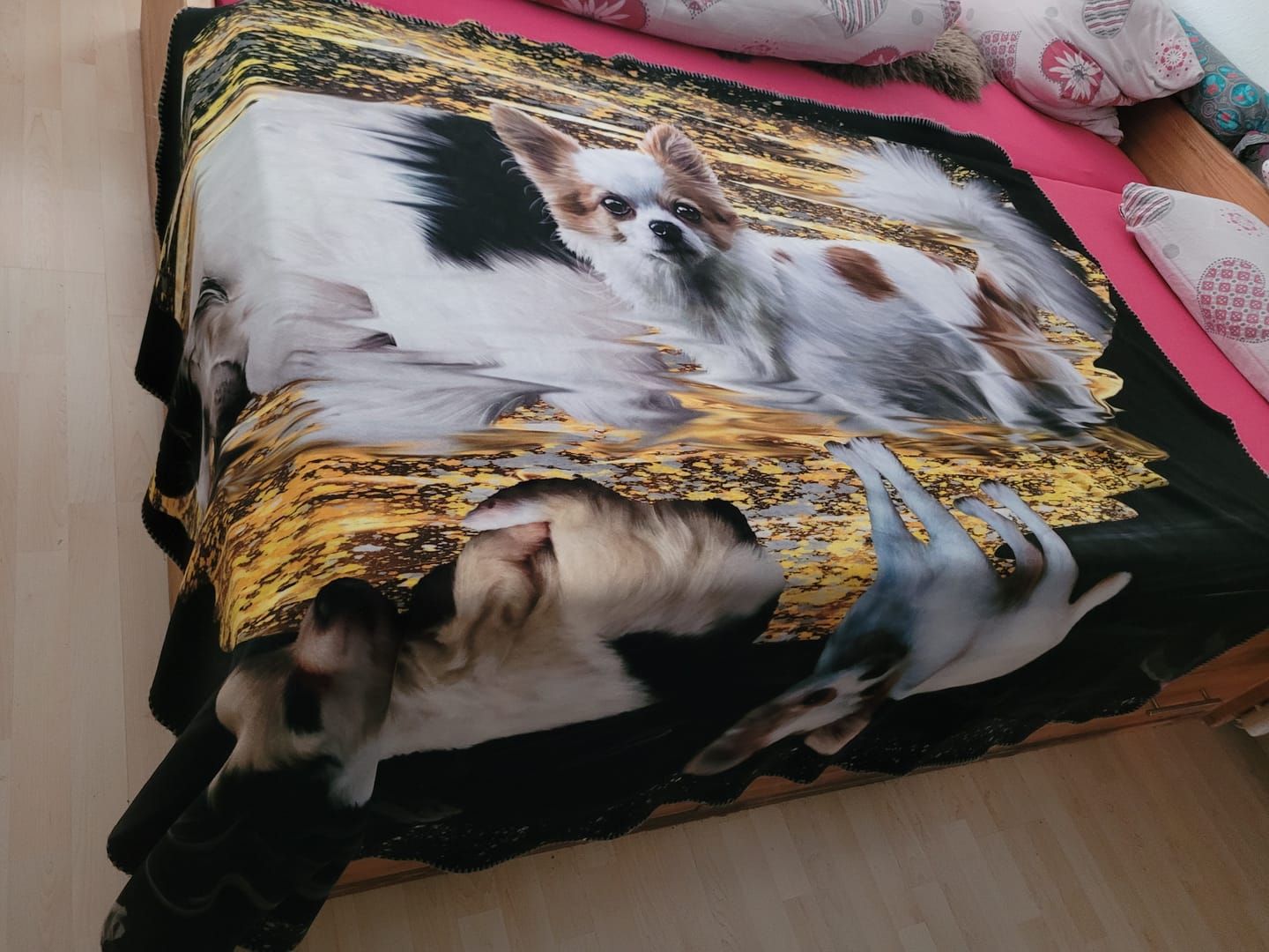 Customer photo review of Handgemaltes Haustierportrait auf Premium Kuscheldecke im Double Stil