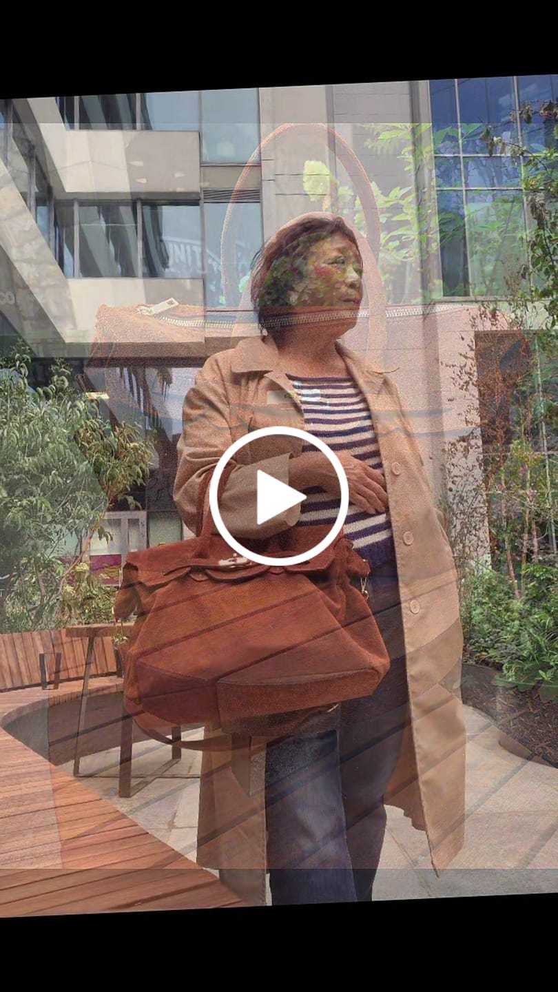 Customer video review of The Charlotte Bag - Large