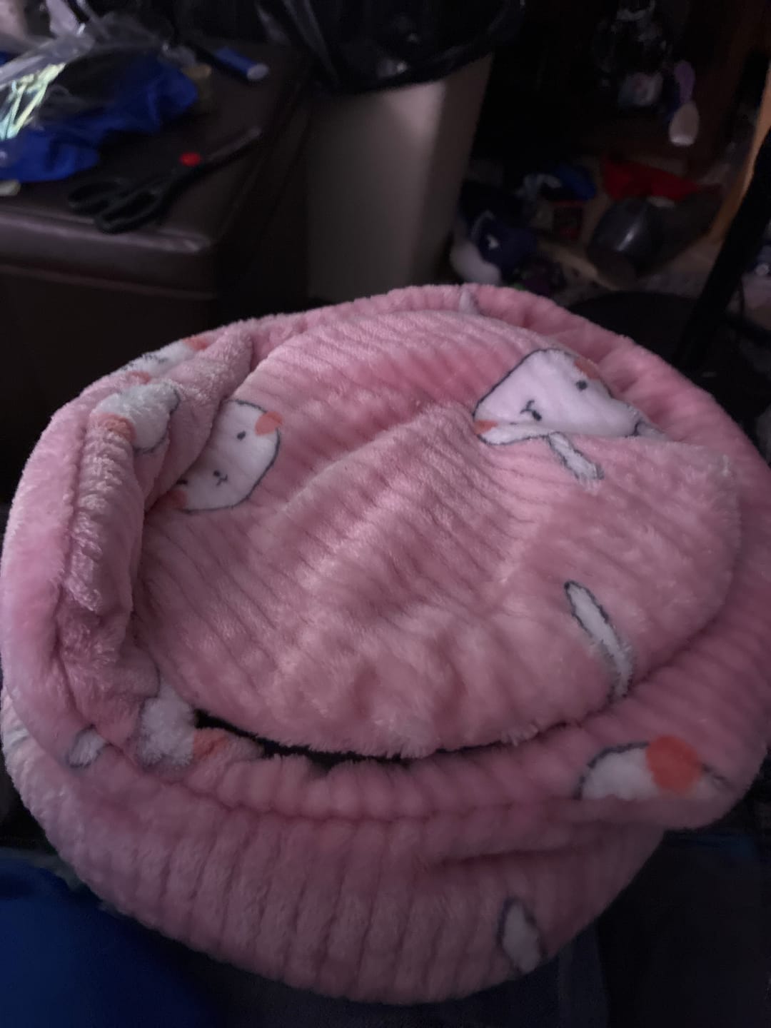 Customer photo review of GuineaDad Plush Piggy Play Package