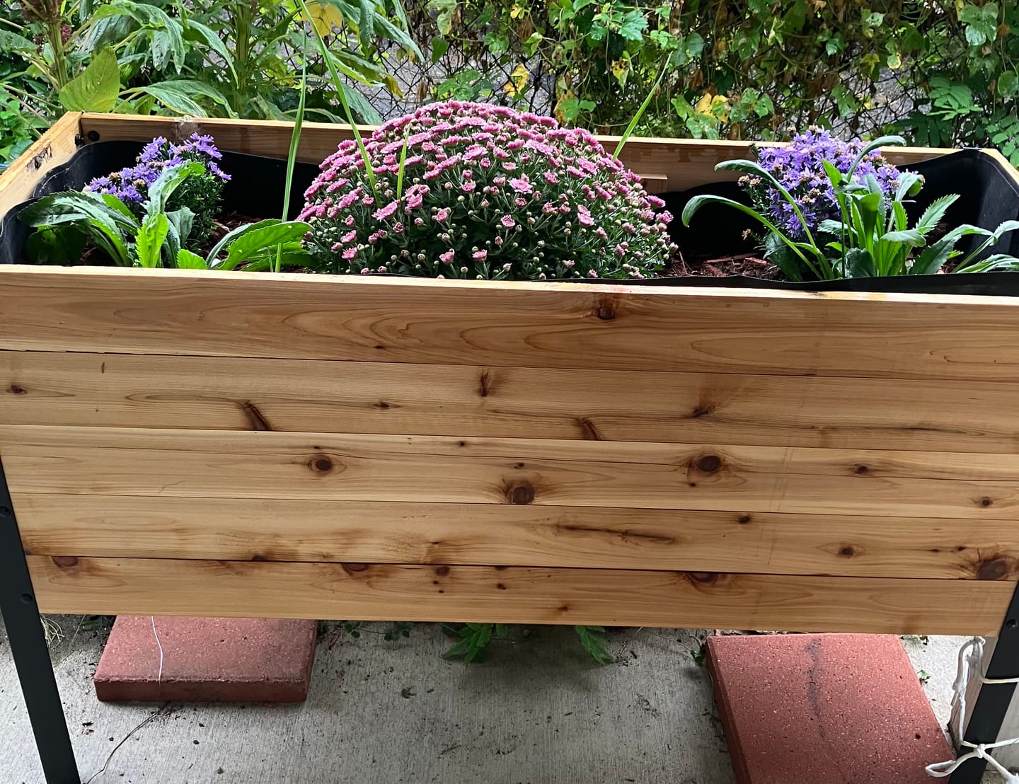 Customer photo review of 18″ x 48″ Deep Root Raised Garden Bed - 30″ TALL / Garden Grade
