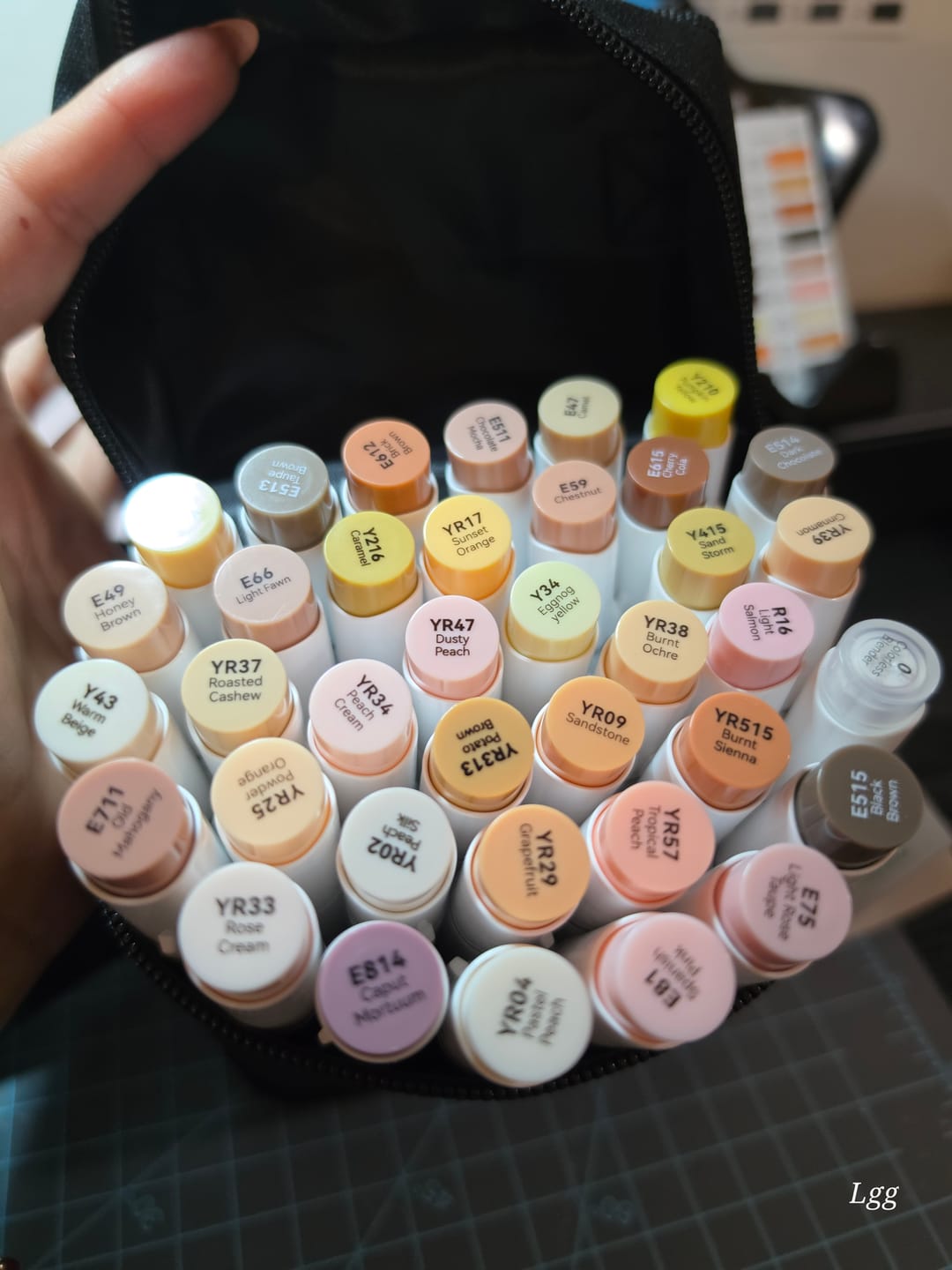 Customer photo review of Ohuhu Honolulu 36 Skin Tone Colors Dual Tips Portrait Alcohol Art Markers (New Color Codes)