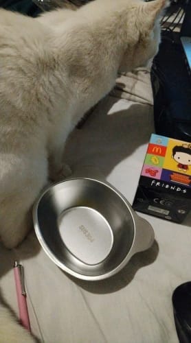 Customer photo review of Sanebu™ Orthopedic Elevated Bowl for Small Dogs NO