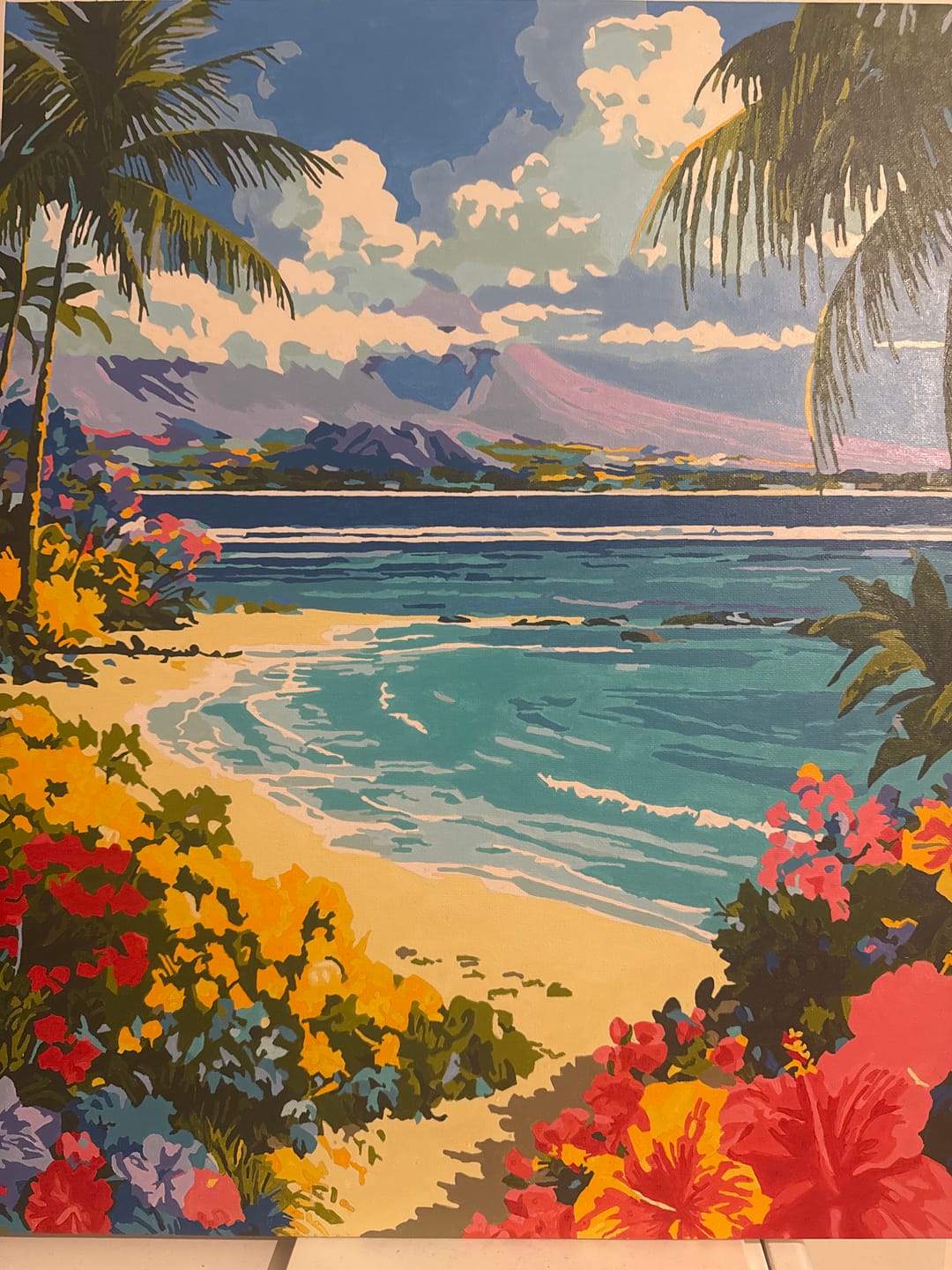 Customer photo review of Hawaiian Landscape | Paint by Number