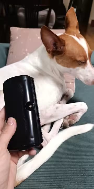 Customer photo review of FurLift Pro™ Deshedding Brush for Dogs & Cats