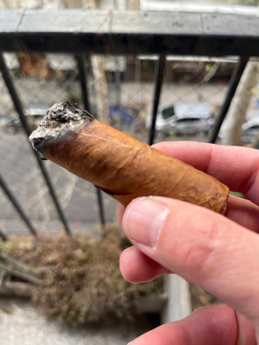 Customer photo review of Petit Robusto x3 U/N