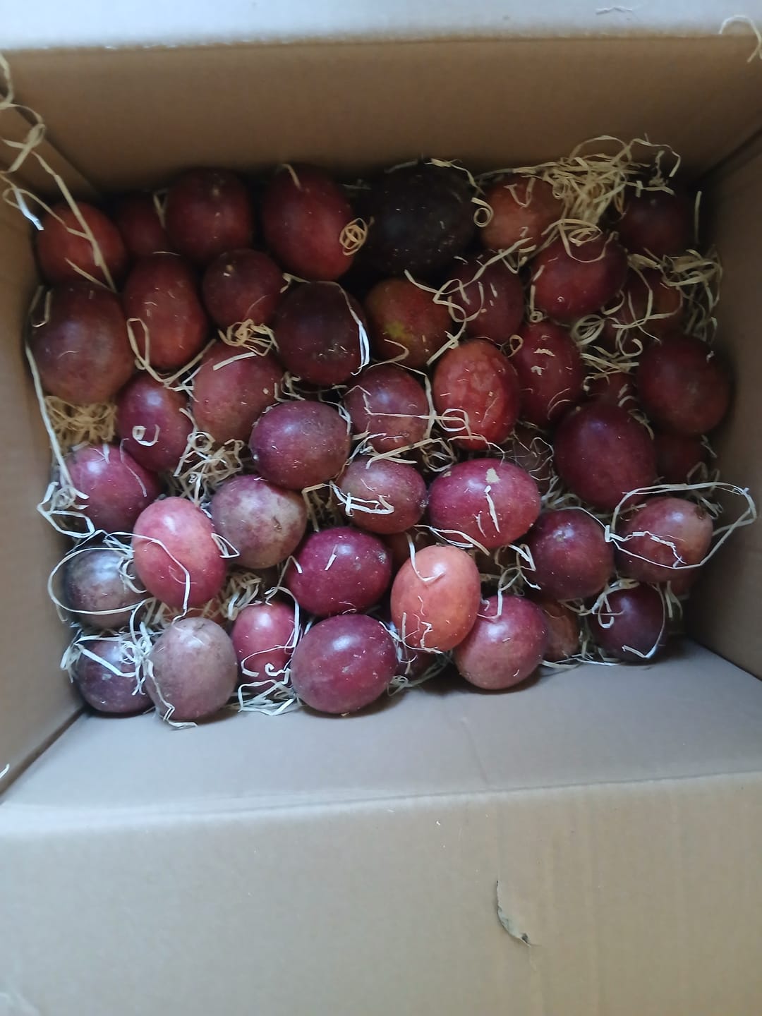 Customer photo review of Passionsfrüchte Bio von Salvador Retteraktion %