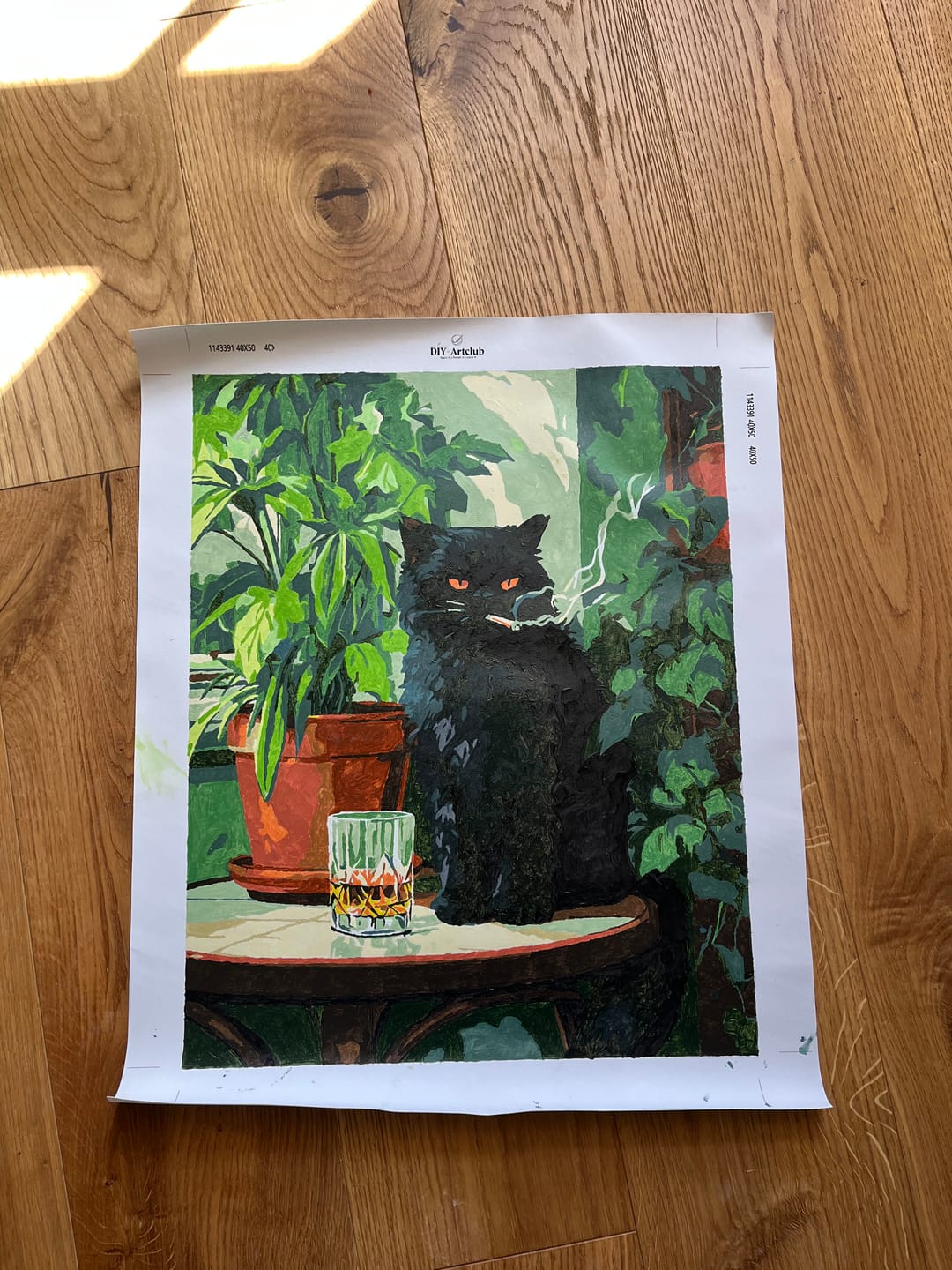 Customer photo review of Grumpy cat | Paint by Number