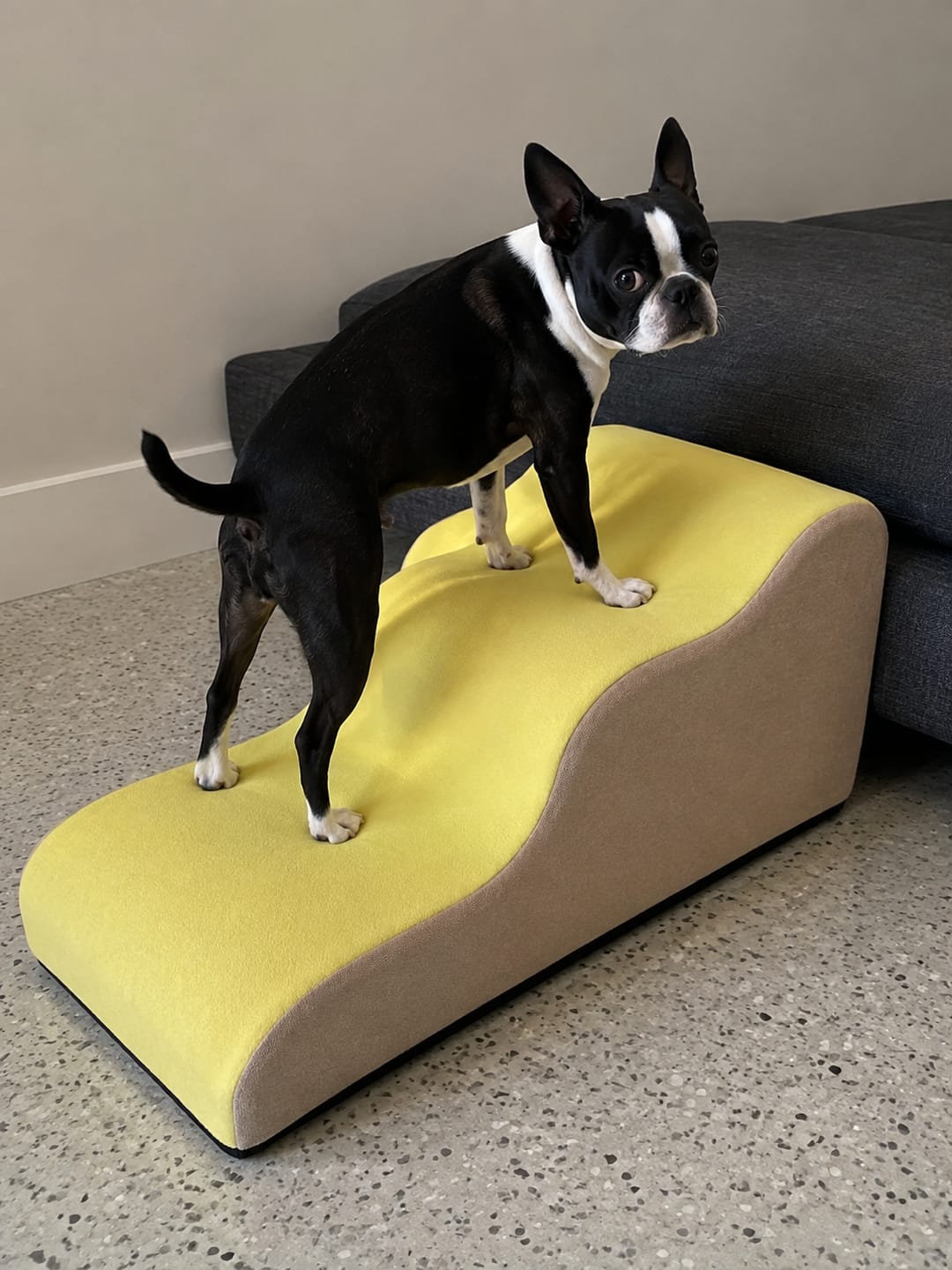 Customer photo review of Gentle Slope Pet Ramp for Beds & Sofas