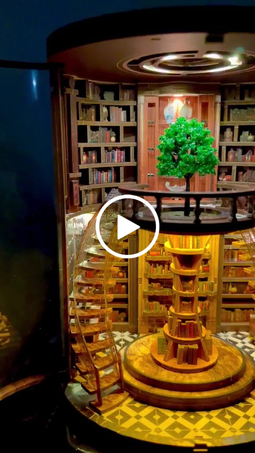 Customer video review of The Wisdom Rings Library