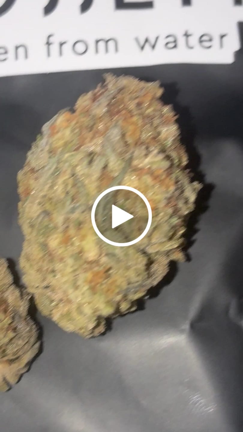 Customer video review of Master Kush